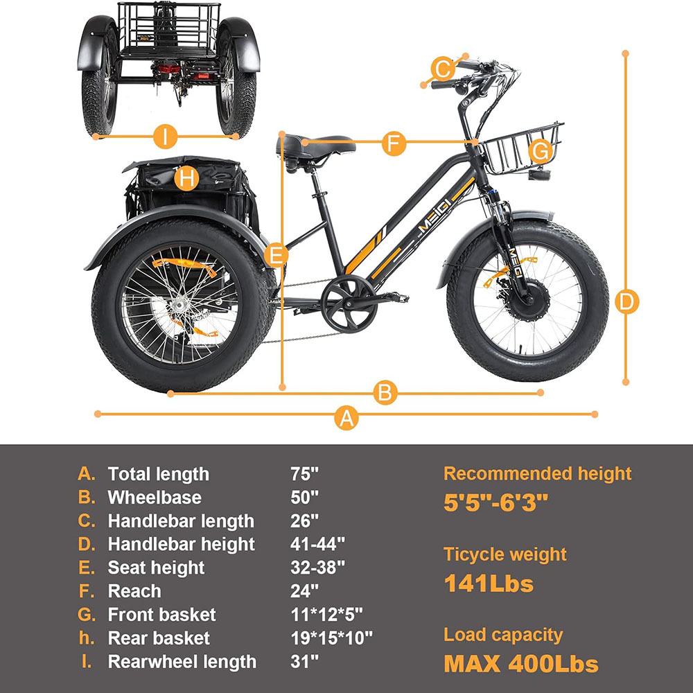 DWMEIGI 3 Wheel Electric Bike